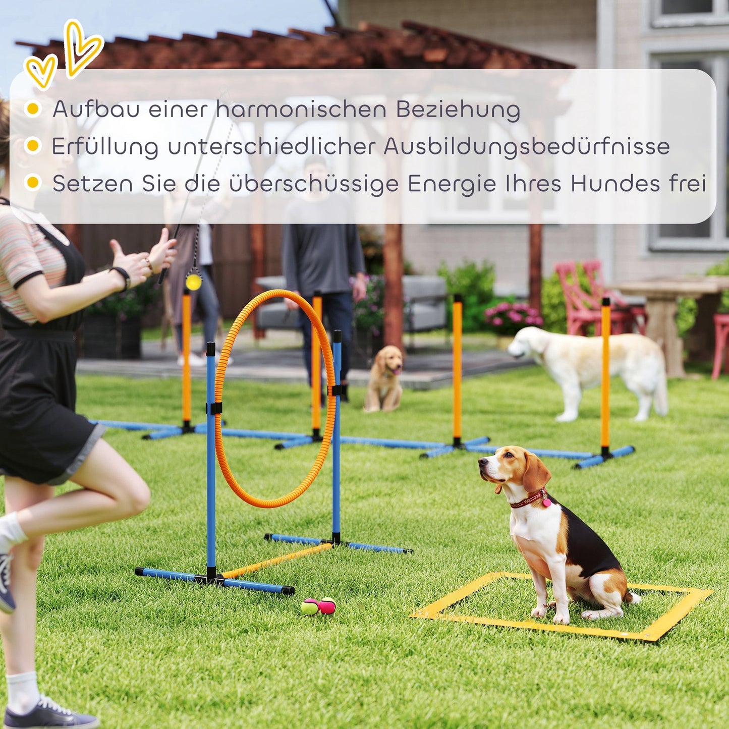 Agility Set Hunde 7-Teilig Agility-Ausrüs