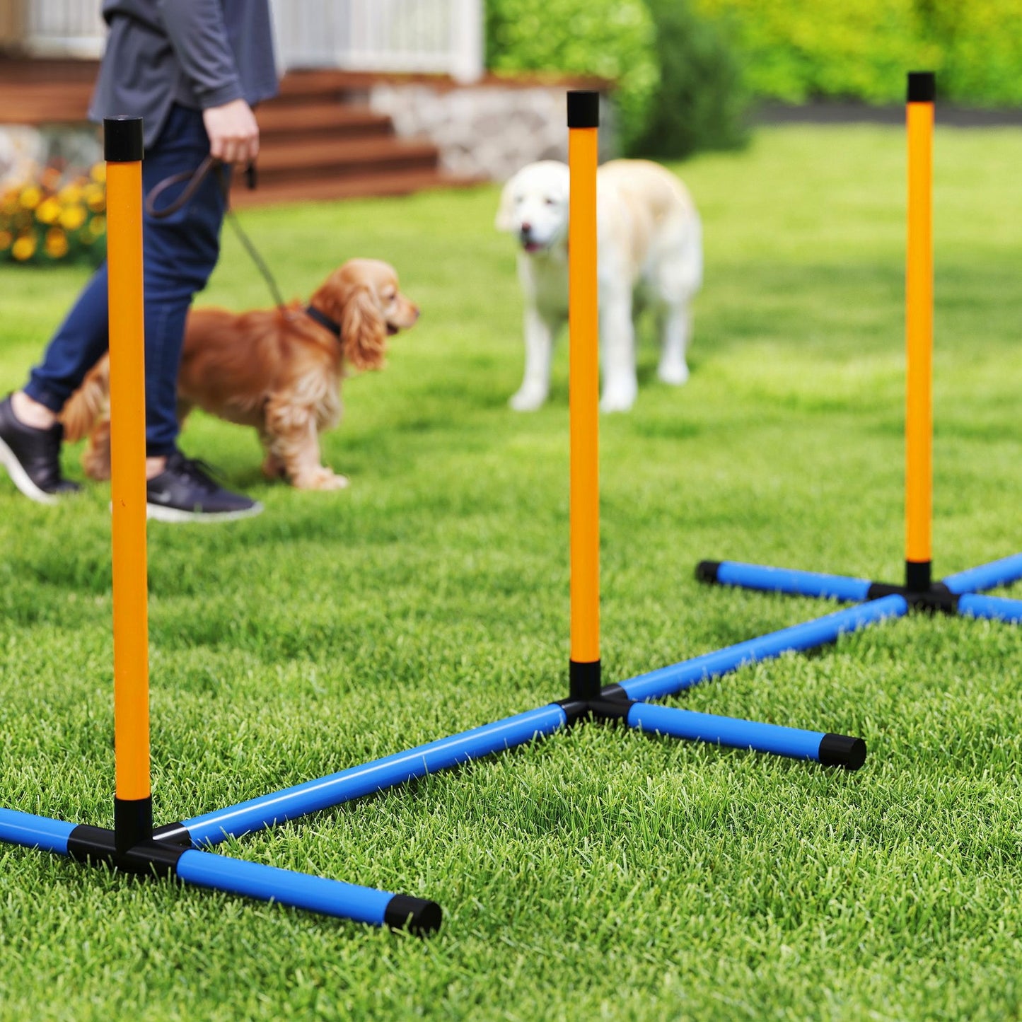 Agility Set Hunde 7-Teilig Agility-Ausrüs