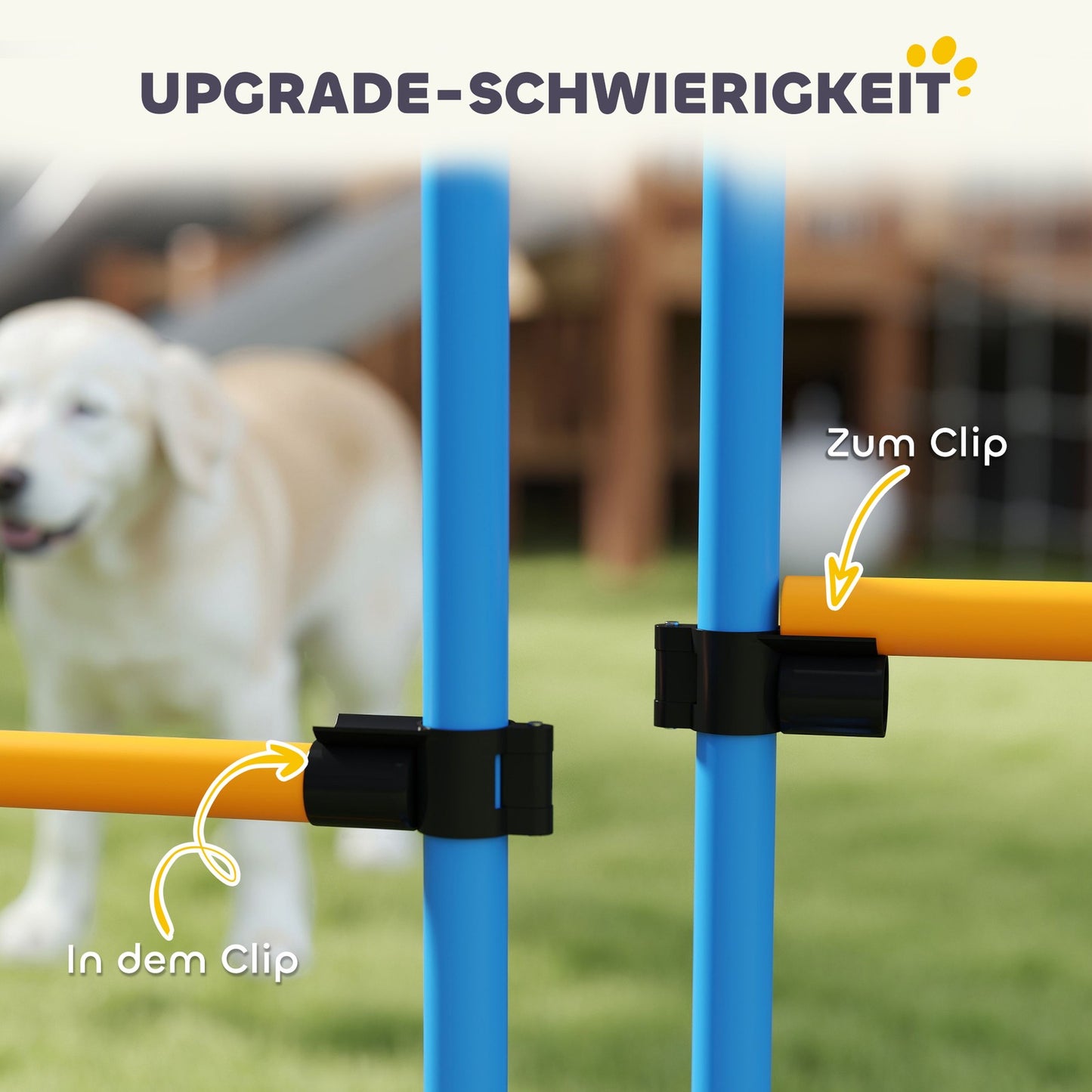 Agility Set Hunde 7-Teilig Agility-Ausrüs