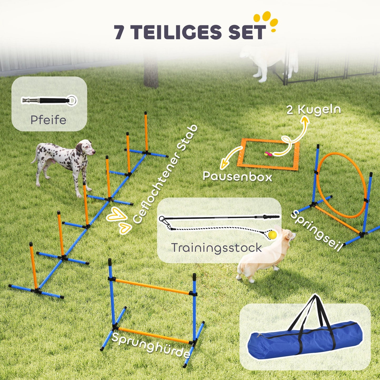 Agility Set Hunde 7-Teilig Agility-Ausrüs