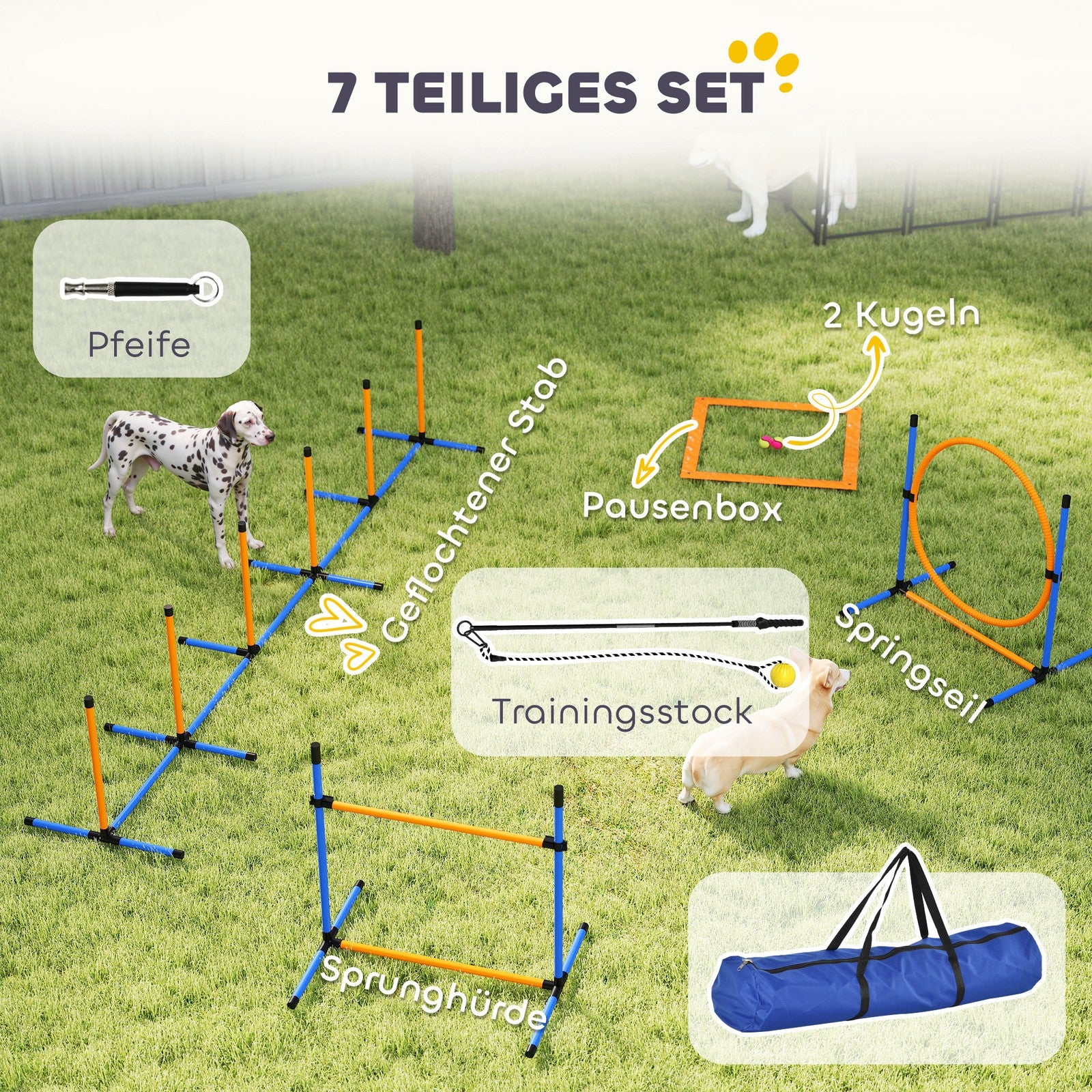 Agility Set Hunde 7-Teilig Agility-Ausrüs